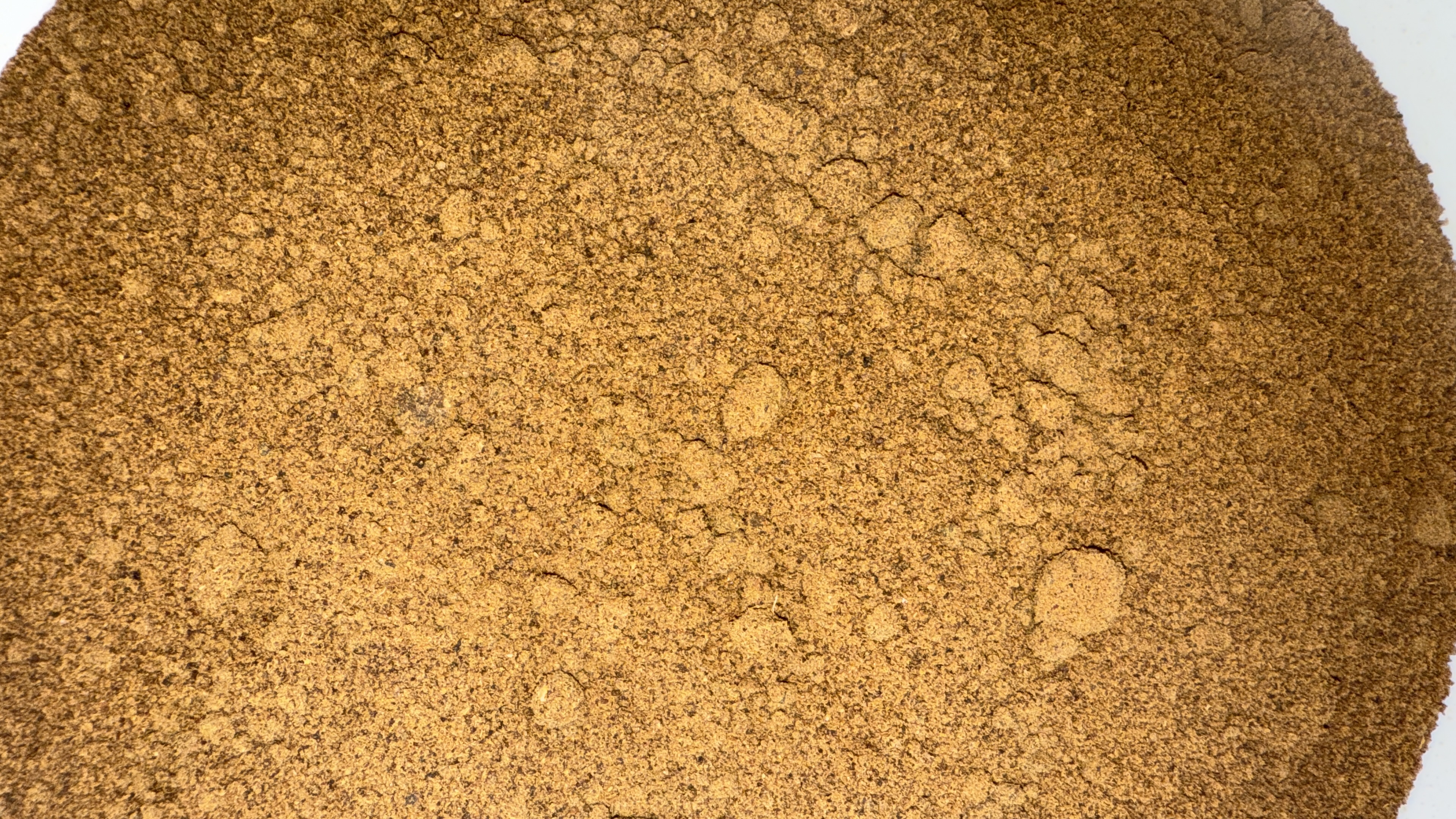 Netetu simple poudre