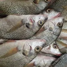 Poisson Sompate — Louma by Seggfaye