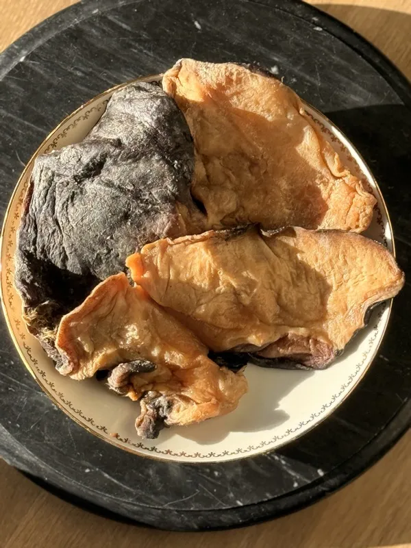 Yeet (cymbium), mollusque marin seche du Senegal surnomme le Maggi africain